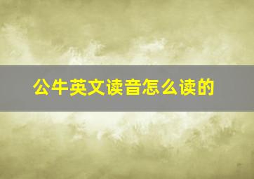 公牛英文读音怎么读的