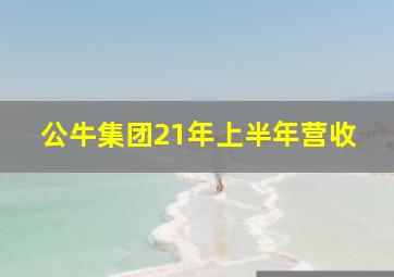 公牛集团21年上半年营收