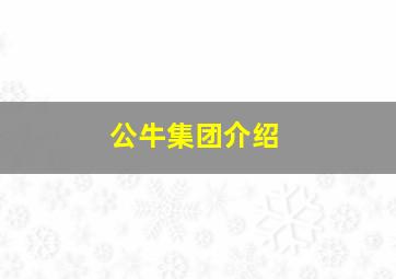 公牛集团介绍