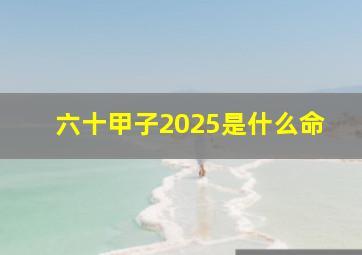 六十甲子2025是什么命