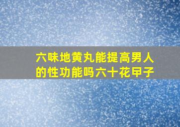 六味地黄丸能提高男人的性功能吗六十花曱子