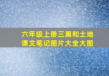 六年级上册三黑和土地课文笔记图片大全大图