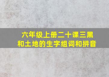 六年级上册二十课三黑和土地的生字组词和拼音