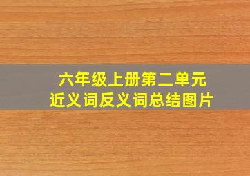 六年级上册第二单元近义词反义词总结图片