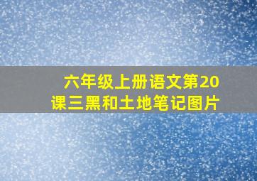 六年级上册语文第20课三黑和土地笔记图片