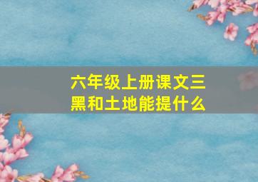 六年级上册课文三黑和土地能提什么