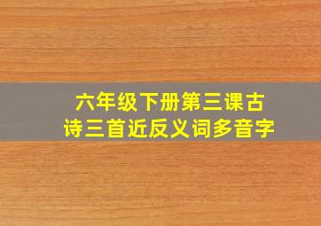 六年级下册第三课古诗三首近反义词多音字