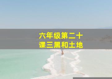 六年级第二十课三黑和土地