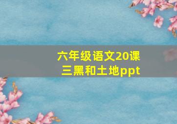 六年级语文20课三黑和土地ppt