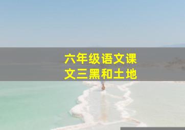 六年级语文课文三黑和土地