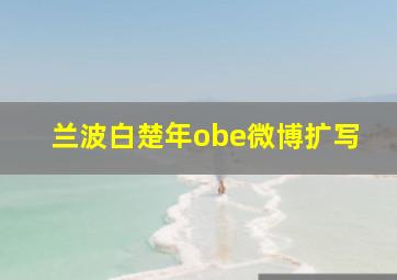 兰波白楚年obe微博扩写