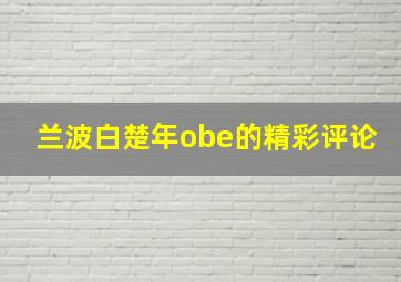 兰波白楚年obe的精彩评论