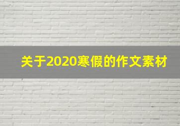 关于2020寒假的作文素材