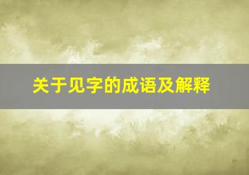 关于见字的成语及解释