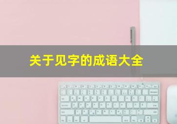 关于见字的成语大全