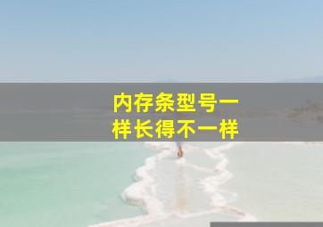 内存条型号一样长得不一样