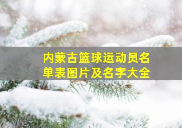 内蒙古篮球运动员名单表图片及名字大全