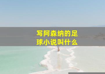 写阿森纳的足球小说叫什么