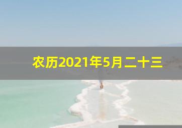 农历2021年5月二十三