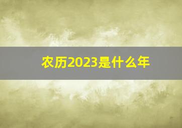 农历2023是什么年