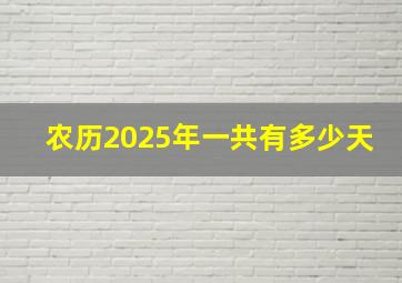 农历2025年一共有多少天