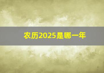 农历2025是哪一年