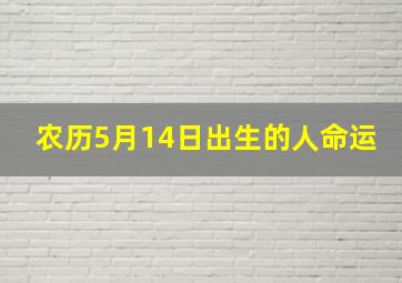 农历5月14日出生的人命运