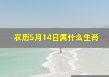 农历5月14日属什么生肖