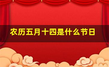 农历五月十四是什么节日