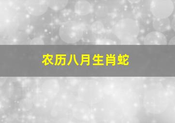 农历八月生肖蛇