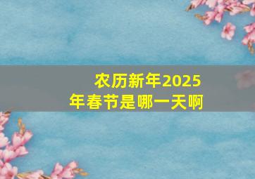 农历新年2025年春节是哪一天啊