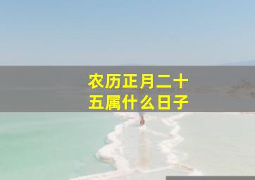 农历正月二十五属什么日子