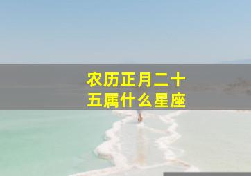 农历正月二十五属什么星座