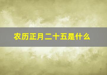 农历正月二十五是什么