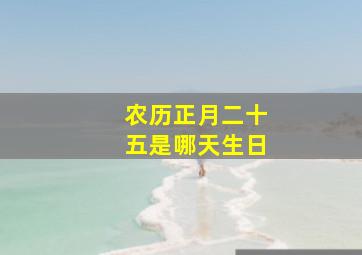 农历正月二十五是哪天生日