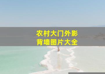 农村大门外影背墙图片大全