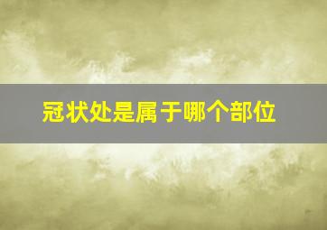 冠状处是属于哪个部位