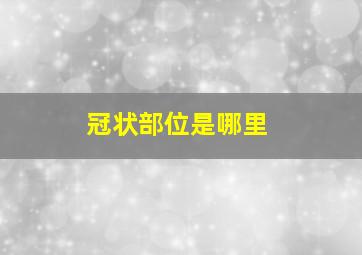 冠状部位是哪里