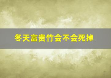 冬天富贵竹会不会死掉