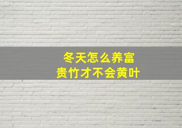 冬天怎么养富贵竹才不会黄叶