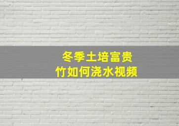 冬季土培富贵竹如何浇水视频