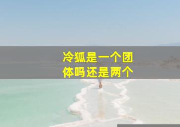 冷狐是一个团体吗还是两个