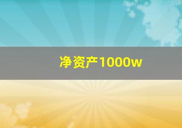 净资产1000w