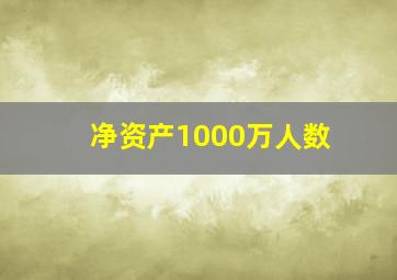 净资产1000万人数