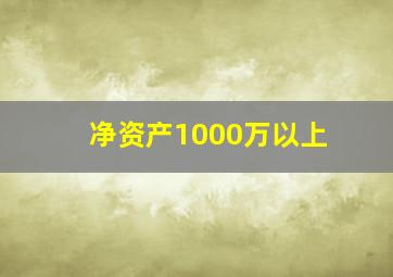 净资产1000万以上