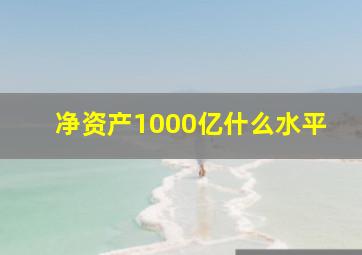 净资产1000亿什么水平