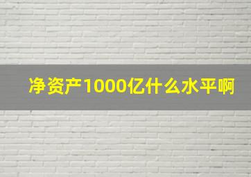 净资产1000亿什么水平啊