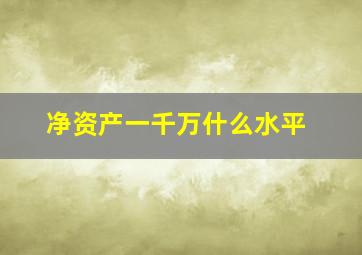 净资产一千万什么水平