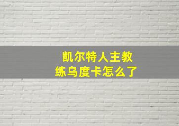 凯尔特人主教练乌度卡怎么了