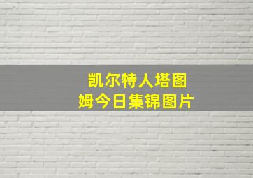 凯尔特人塔图姆今日集锦图片